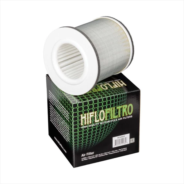 Фото Фильтр воздушный Hiflofiltro HFA4603 — купить в LuckyFern