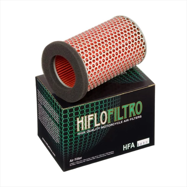 Фото Фильтр воздушный Hiflofiltro HFA1613 — купить в LuckyFern