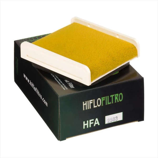Фото Фильтр воздушный Hiflofiltro HFA2503 — купить в LuckyFern