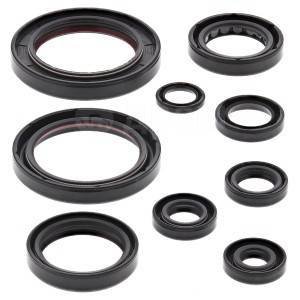 Комплект сальников двигателя BWX Honda CRF250R 10-17 (822357)