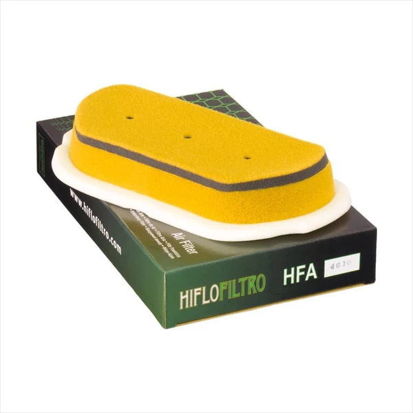 Фото Фильтр воздушный Hiflofiltro HFA4610 — купить в LuckyFern