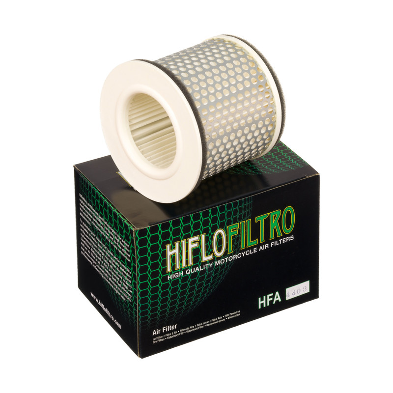 Фото Фильтр воздушный Hiflofiltro HFA4403 — купить в LuckyFern