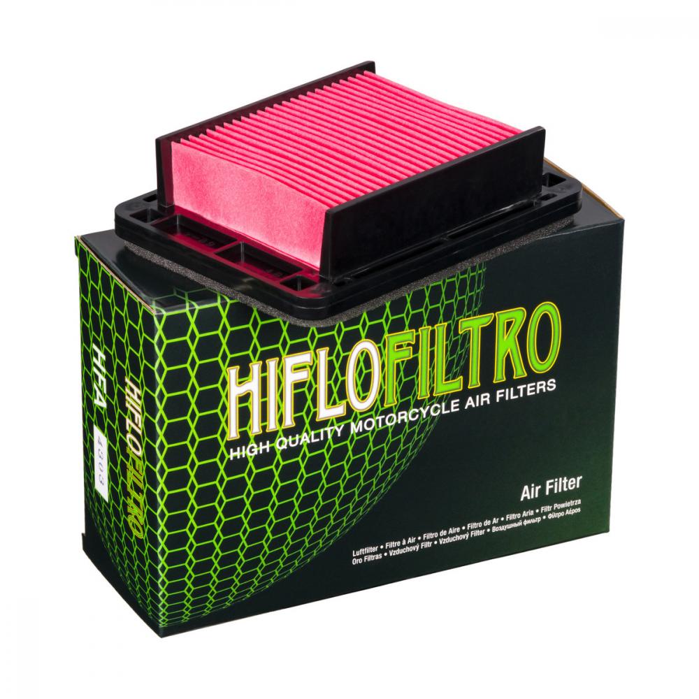 Фото Фильтр воздушный Hiflofiltro HFA4303 — купить в LuckyFern