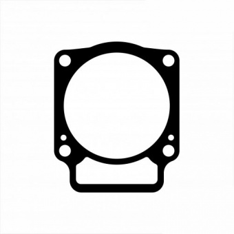 Прокладка под головку цилиндра 58030030100 в интернет-магазине LuckyFern
