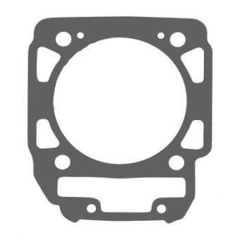 Прокладка для BRP 420630210 00BR-003 в интернет-магазине LuckyFern