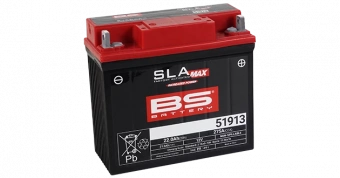 Аккумулятор BS-Battery 51913 SLA MAX в интернет-магазине LuckyFern
