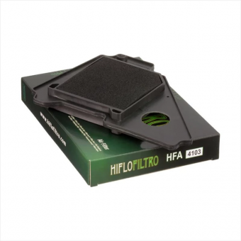 Фильтр воздушный Hiflofiltro HFA4103 в интернет-магазине LuckyFern