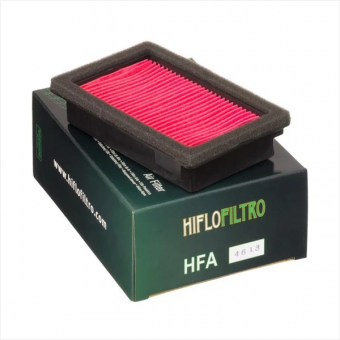 Фильтр воздушный Hiflofiltro HFA4613 в интернет-магазине LuckyFern
