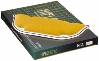 Фильтр воздушный Hiflofiltro HFA2905 в интернет-магазине LuckyFern
