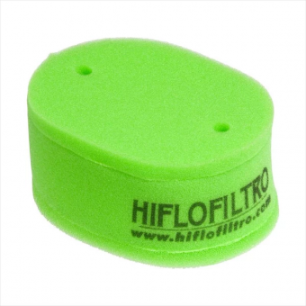 Фильтр воздушный Hiflofiltro HFA2709 в интернет-магазине LuckyFern