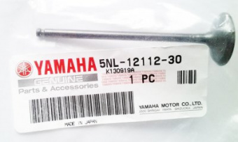 Клапан впускной YZ250F 5NL-12112-30-00 в интернет-магазине LuckyFern