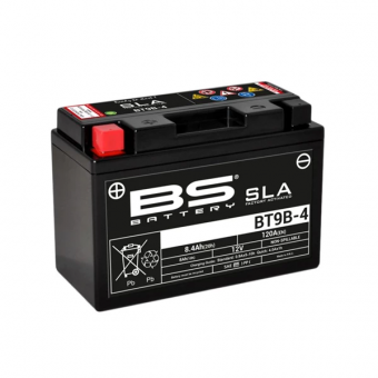 Аккумулятор BS-Battery BT9B-4/YT9B-4 SLA в интернет-магазине LuckyFern