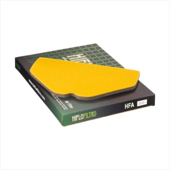 Фильтр воздушный Hiflofiltro HFA2909 в интернет-магазине LuckyFern
