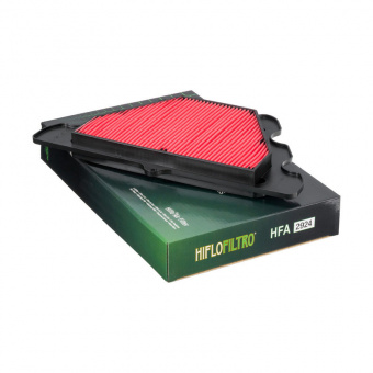 Фильтр воздушный Hiflofiltro HFA2924 в интернет-магазине LuckyFern
