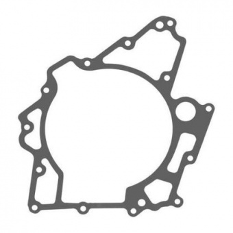 Прокладка для BRP 420950610 00BR-009 в интернет-магазине LuckyFern