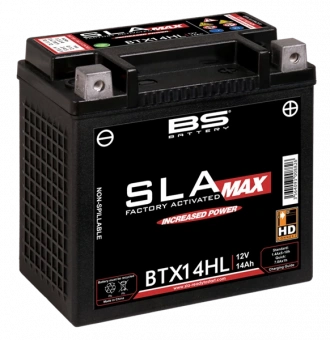 Аккумулятор BS-Battery BTX14HL/YTX14HL (FA) MAX в интернет-магазине LuckyFern