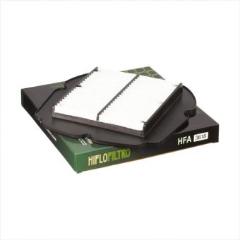 Фильтр воздушный Hiflofiltro HFA3618 в интернет-магазине LuckyFern